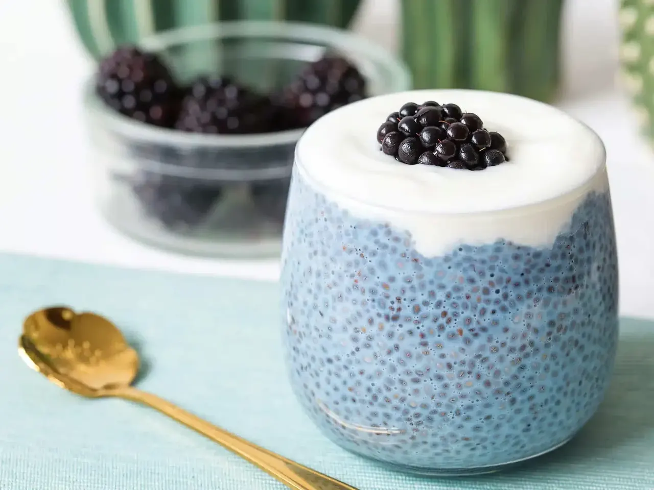 Karhunvatukka-chiapudding